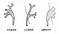 2014年1月19日 (日) 04:04的版本的缩略图