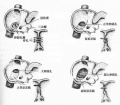 2014年1月17日 (五) 10:47的版本的缩略图
