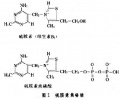 2014年1月18日 (六) 16:34的版本的缩略图