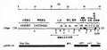 2014年1月18日 (六) 15:21的版本的缩略图