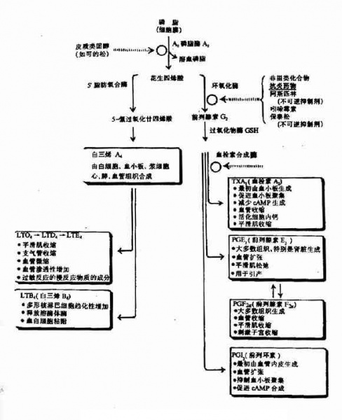 文件:Gra3r5x3.jpg