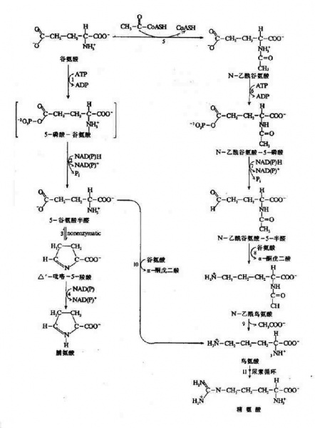 文件:Gra77akw.jpg