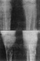 Guwcp267.jpg