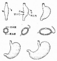 2014年1月18日 (六) 13:59的版本的缩略图