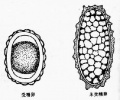 2014年1月18日 (六) 13:52的版本的缩略图