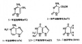 2014年1月17日 (五) 06:06的版本的缩略图