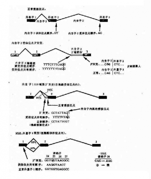 文件:Gv129gb9.jpg
