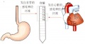 2014年1月19日 (日) 05:30的版本的缩略图