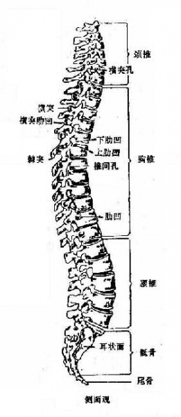文件:Glxiz6u2.jpg