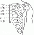 2014年1月18日 (六) 07:34的版本的缩略图
