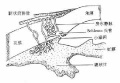 2014年1月19日 (日) 04:38的版本的缩略图
