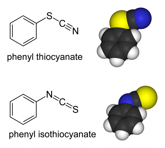 文件:PhSCN-PhNCS-comparison.png