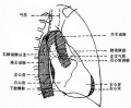 2014年1月17日 (五) 09:16的版本的缩略图