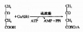 2014年1月18日 (六) 16:30的版本的缩略图