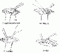 2014年1月18日 (六) 05:51的版本的缩略图