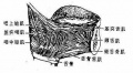 2014年1月19日 (日) 03:58的版本的缩略图
