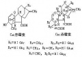 2014年1月18日 (六) 22:18的版本的缩略图