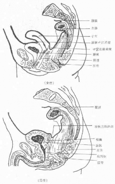 文件:Gkruwyai.jpg