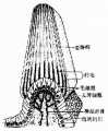 Gunvl02j.jpg