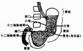 Guwfc1dn.jpg