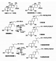 2014年1月18日 (六) 16:36的版本的缩略图