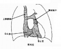 Guwezc63.jpg