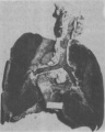 Gj70821u.jpg