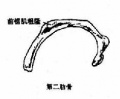 2014年1月17日 (五) 11:35的版本的缩略图