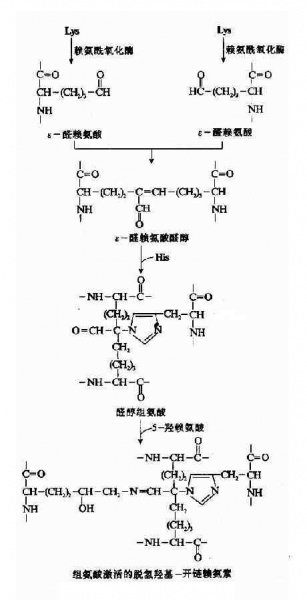 文件:Graaw1py.jpg