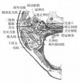 2014年1月18日 (六) 16:09的版本的缩略图