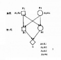 2014年1月19日 (日) 04:11的版本的缩略图