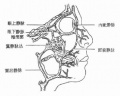 2014年1月18日 (六) 13:02的版本的缩略图