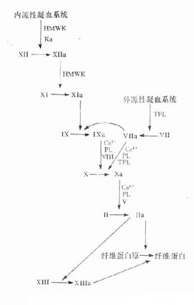 文件:Gnt1o3au.jpg