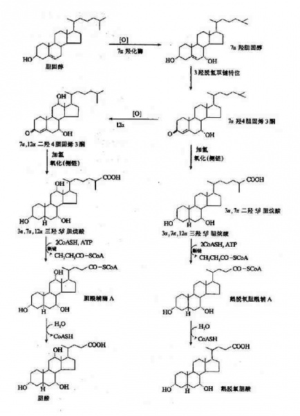 文件:Gra9t3re.jpg