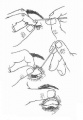 Gv6f4r93.jpg