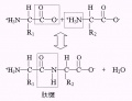 2014年1月17日 (五) 10:15的版本的缩略图