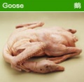 鹅肉