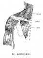 Gxpx1y92.jpg