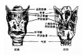 2014年1月18日 (六) 16:50的版本的缩略图