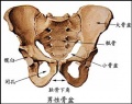 2014年1月18日 (六) 16:39的版本的缩略图