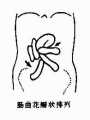 Guwf4129.jpg