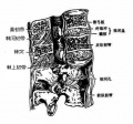 2014年1月17日 (五) 09:16的版本的缩略图