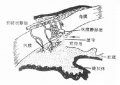 2014年1月19日 (日) 05:23的版本的缩略图