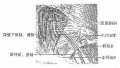 Gl4rp060.jpg