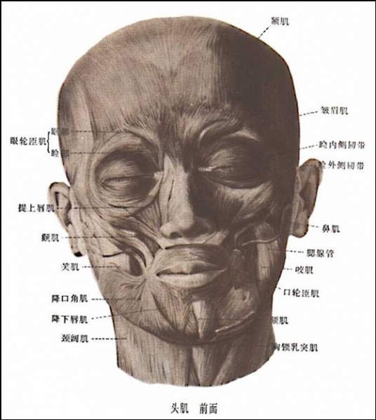 文件:Glmfyztc.jpg