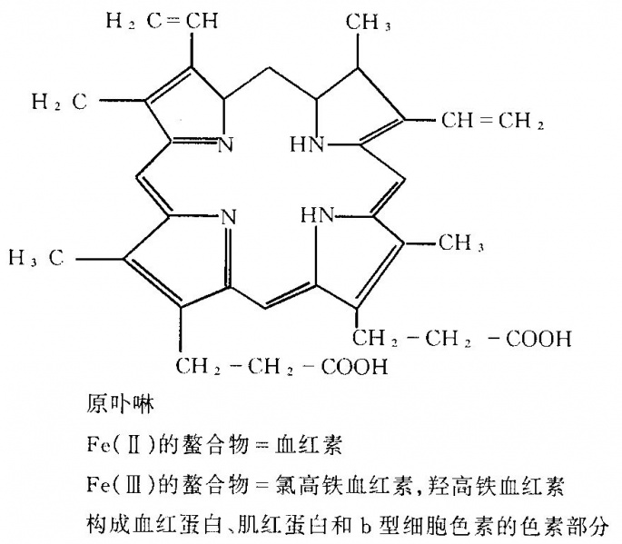 文件:Bkc7g.jpg