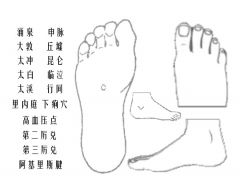 互动版人体穴位图足部.jpg