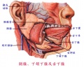 Glnh4qge.jpg