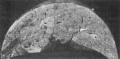 Gj70dpxl.jpg