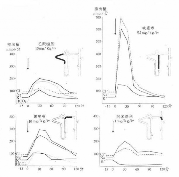 文件:Gnt1g18l.jpg